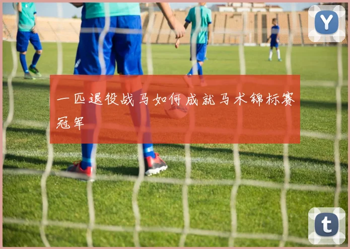 一匹退役战马如何成就马术锦标赛冠军