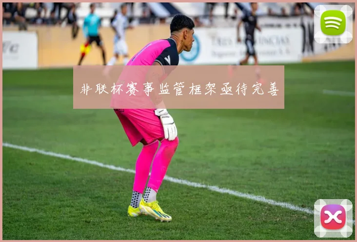 非联杯赛事监管框架亟待完善