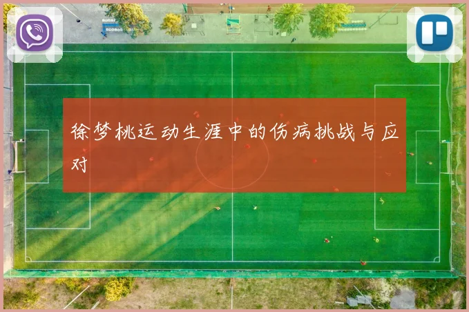 徐梦桃运动生涯中的伤病挑战与应对