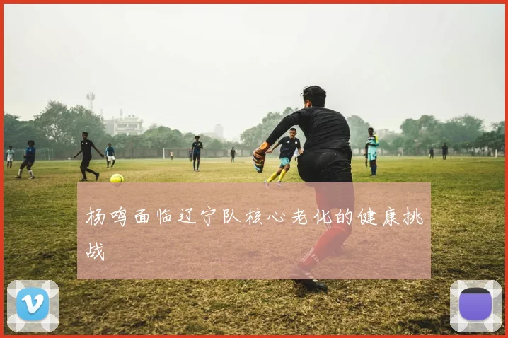 杨鸣面临辽宁队核心老化的健康挑战