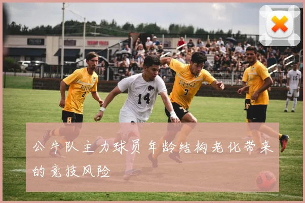 公牛队主力球员年龄结构老化带来的竞技风险