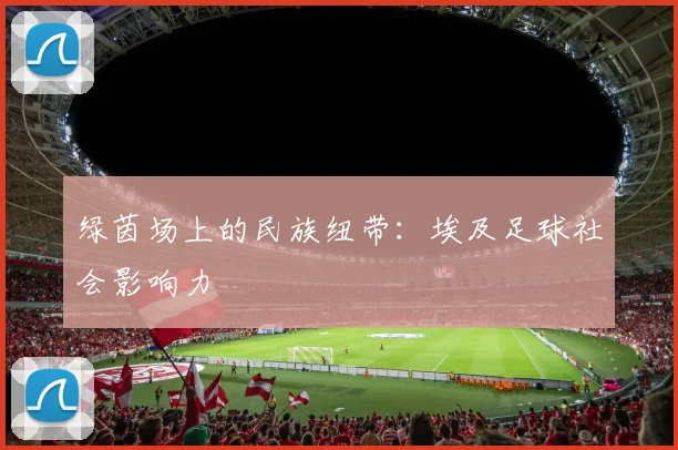 绿茵场上的民族纽带：埃及足球社会影响力