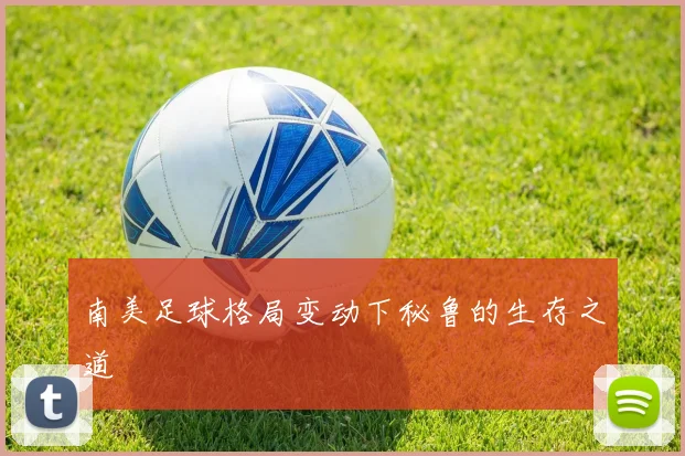 南美足球格局变动下秘鲁的生存之道